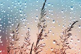 Pluja molt benvinguda